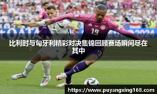 比利时与匈牙利精彩对决集锦回顾赛场瞬间尽在其中