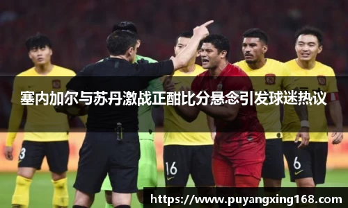 塞内加尔与苏丹激战正酣比分悬念引发球迷热议