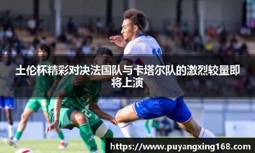 土伦杯精彩对决法国队与卡塔尔队的激烈较量即将上演