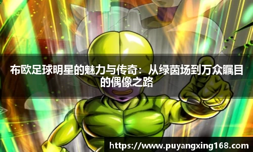 布欧足球明星的魅力与传奇：从绿茵场到万众瞩目的偶像之路
