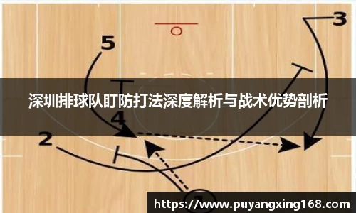 深圳排球队盯防打法深度解析与战术优势剖析