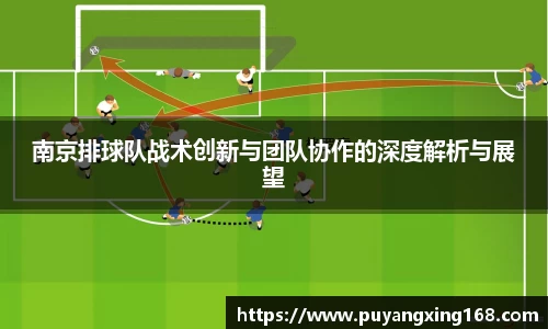 南京排球队战术创新与团队协作的深度解析与展望