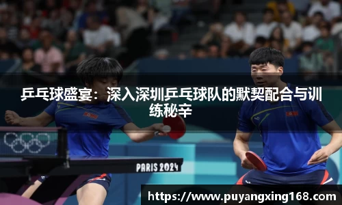 乒乓球盛宴：深入深圳乒乓球队的默契配合与训练秘辛