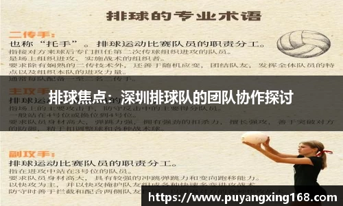 排球焦点：深圳排球队的团队协作探讨